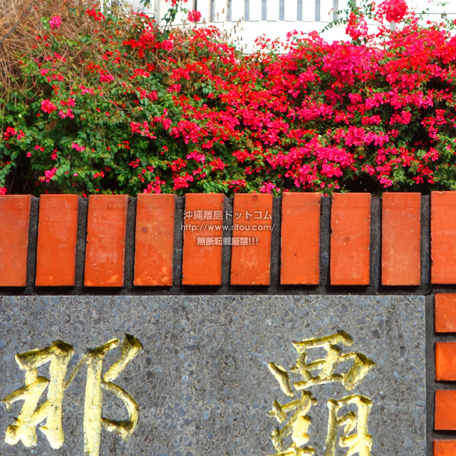 ���ꗣ���h�b�g�R���̃u�[�Q���r���A/�u�[�Q���r���A�̎ʐ^