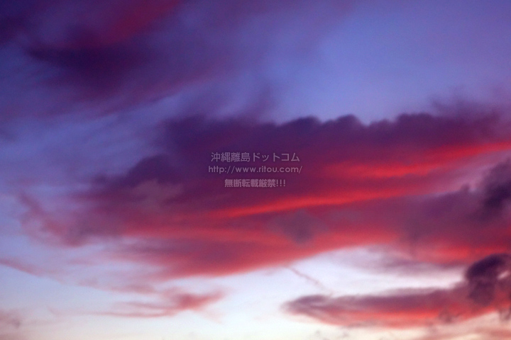 ꗣhbgR̒/Ă̎ʐ^