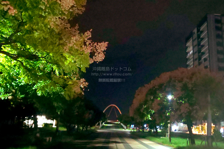 ꗣhbgR̊gʐ^