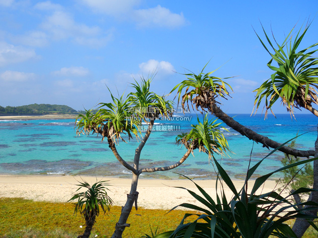 奄美大島の土盛海岸/ビーチ