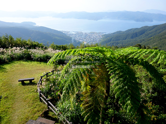 奄美大島の高知山展望台