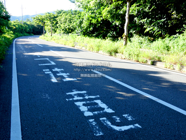 西表島の「ネコ注意」道路標示/ヤマネコ道路標識