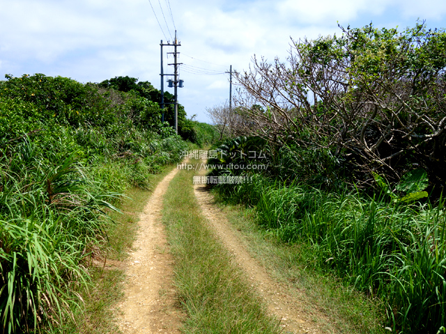 鳩間島の島の北へ抜ける道/島内陸の道/リサイクル施設