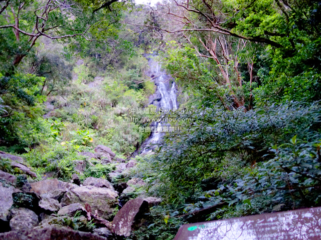 奄美大島のフナンギョの滝