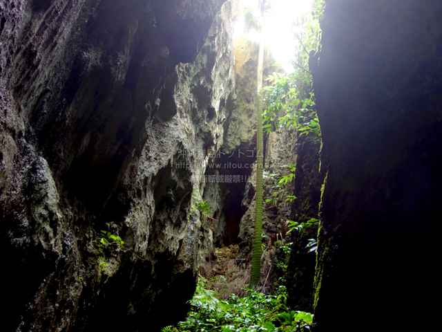 南大東島のバリバリ岩