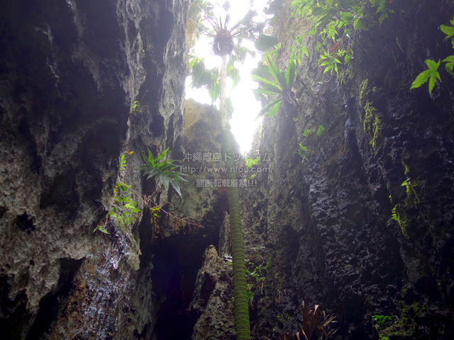 南大東島のバリバリ岩