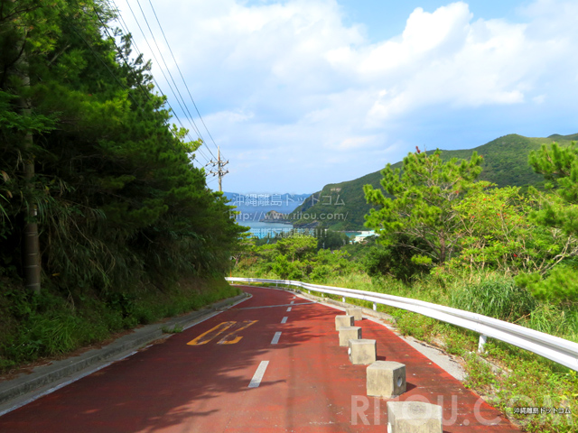 渡嘉敷島の照山トカシク林道/照山とトカシクを結ぶ道