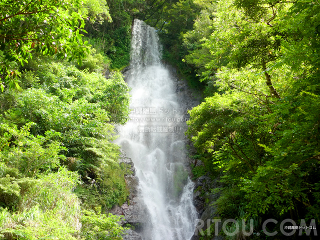 奄美大島のフナンギョの滝