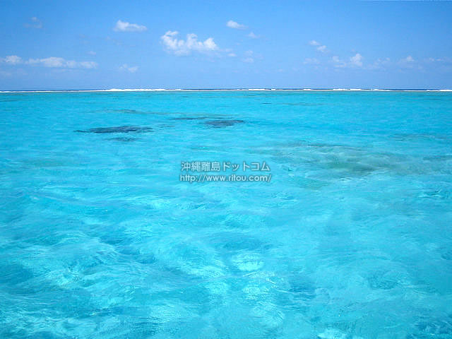 青い海に点在する珊瑚礁 与論島の写真