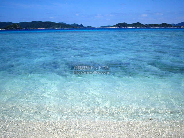 透明な海が続く場所 阿嘉島の写真