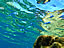 阿嘉島〜鏡のような水面（サイズ「358 KB」／撮影「2010/10」）