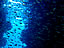 伊良部島〜青の洞窟のハタンポ