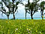 与論島〜ウドノスビーチの光景（サイズ「500 KB」／撮影「2012/4」）