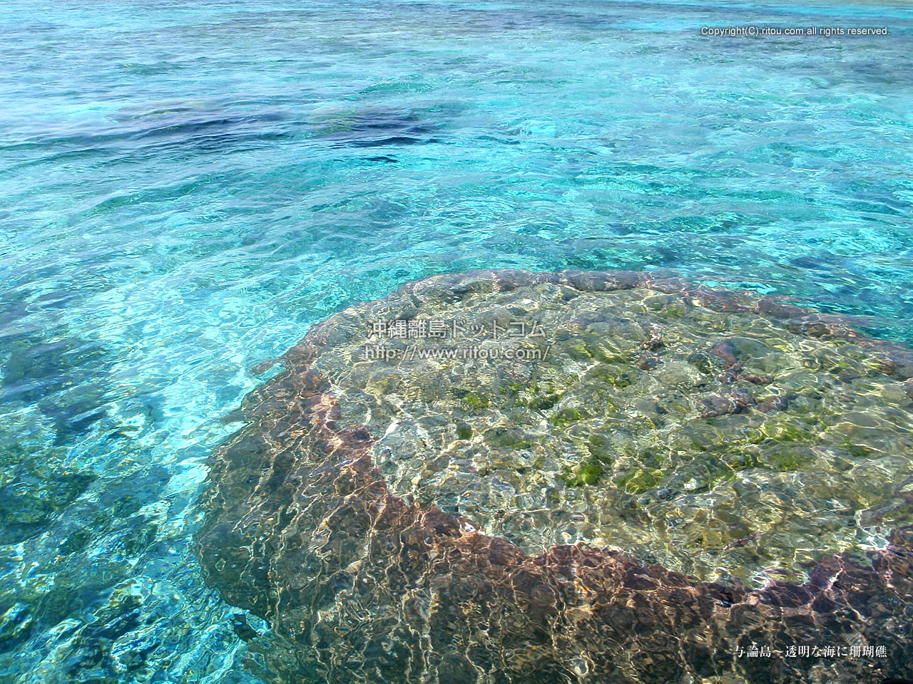 与論島 透明な海に珊瑚礁 沖縄離島の壁紙