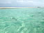 百合ヶ浜〜青い海と砂の島