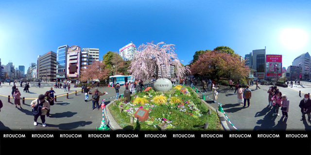 「上野恩賜公園入口・しだれ桜」VR360度画像