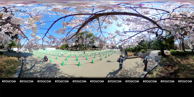 「上野動物園入口・満開の桜」VR360度画像