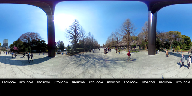 「靖国神社・大鳥居と桜」VR360度画像