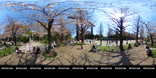 「靖国神社・桜と大鳥居」VR360度画像