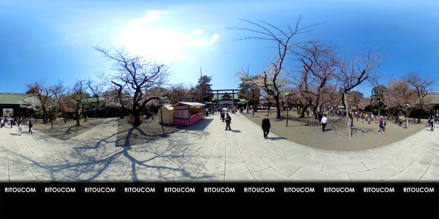 「靖国神社・中門と桜の標準木」VR360度画像