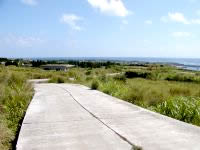 粟国島のナビィの道 - この曲線がたまりません