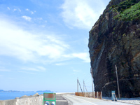 慶留間島の慶留間島の崖 - せり出す崖のスケール感がすごい
