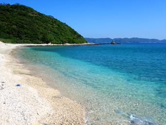 阿嘉島の阿嘉ビーチ：ビーチそのものは普通です