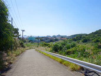 阿嘉島のニシ浜へ続く道