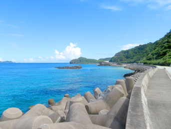 cԓ̌cԓV[TCh[hFÑ勴cԏW܂őC̓