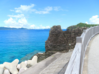 cԓ̌cԓV[TCh[h - cԏWOōɂȂ