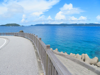 cԓ̌cԓV[TCh[h - Ñ勴֌ۂ̌iF