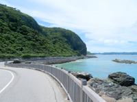 cԓ̌cԓV[TCh[h - sA̕ǂiF