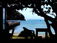 阿嘉島のパーラーみやま - 青い海を見ながら食事ができます