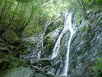 奄美大島「タンギョの滝途中の滝」