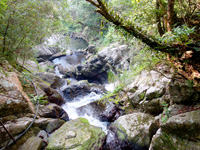 奄美大島「アランガチの滝上/滝上へのルート」