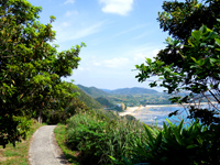 奄美大島「明神崎展望台への道」