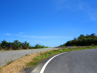 奄美大島「2つの海が見える丘への道」