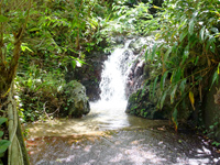 奄美大島「和瀬の滝/民宿サンゴ裏の滝」