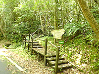 奄美大島のマテリヤの滝 - 別の入口もありますが・・・