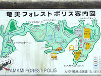 奄美大島の奄美フォレストポリス - フォレストポリスのマップです