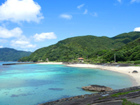 タエン浜海水浴場(奄美諸島/奄美大島のビーチ/砂浜)