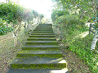 奄美大島の油井岳展望台 - 山側へと進む階段や遊歩道があり