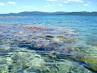 新城島の幻の島の海：透明度が高いので海の上から珊瑚も見えます