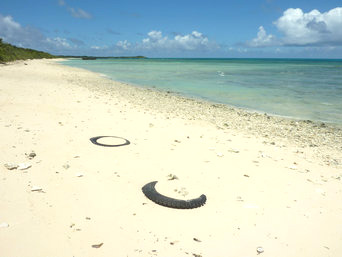 新城島の上地島南岸：ここから南端まで砂浜が続きます