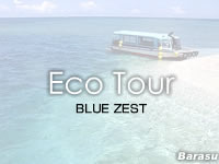 八重山列島 バラスのBLUE ZEST/ブルーゼストの写真