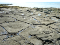 久米奥武島の畳石 - 比較的遠浅なので透明度も抜群