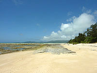 オーハ島の洗濯板のような岩 - 砂浜も岩も結構キレイ
