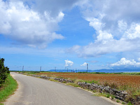 波照間島の波照間周回道路 - 風力発電の風車付近