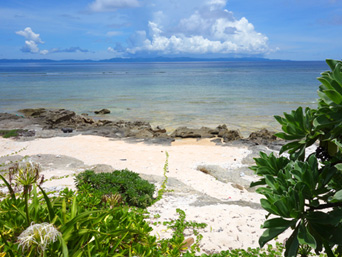 波照間島のブドゥマリ浜/大泊浜：波照間島ではマイナーはビーチです