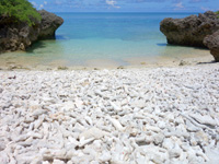 毛ビーチ/珊瑚の殻ビーチ/サンゴの浜(八重山列島/波照間島のビーチ/砂浜)